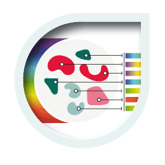 Raman measurement